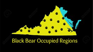 Question Your World: What Does Junk Food Do to Bears?