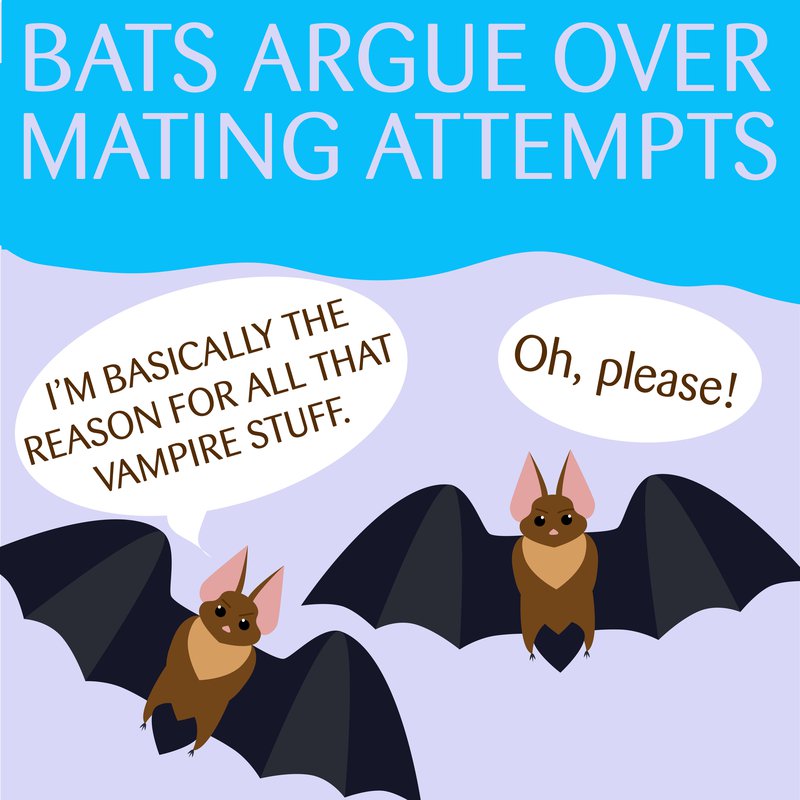 Why Do Bats Argue So Much? | Blog | Science Museum of Virginia