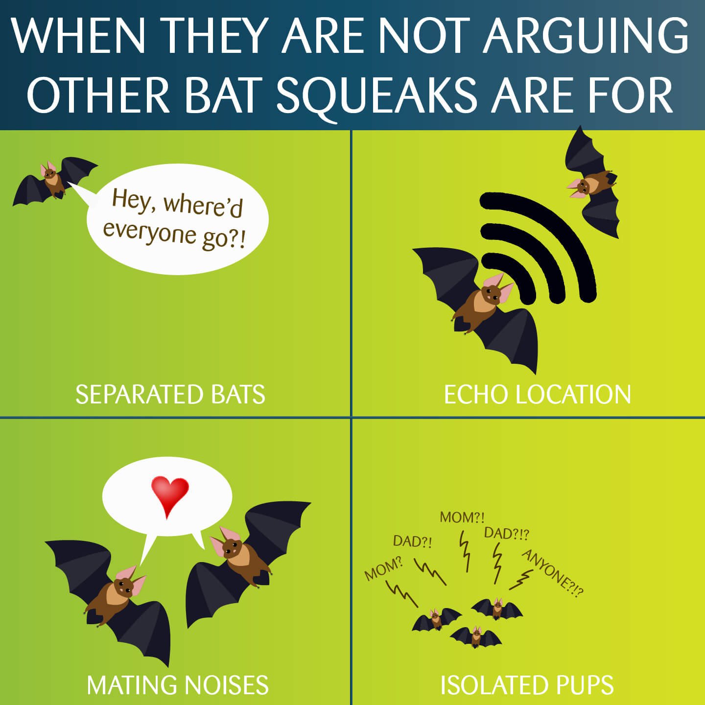 Why Do Bats Argue So Much? Blog Science Museum of Virginia