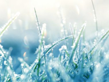 2019.11.13 firstfrost.jpg