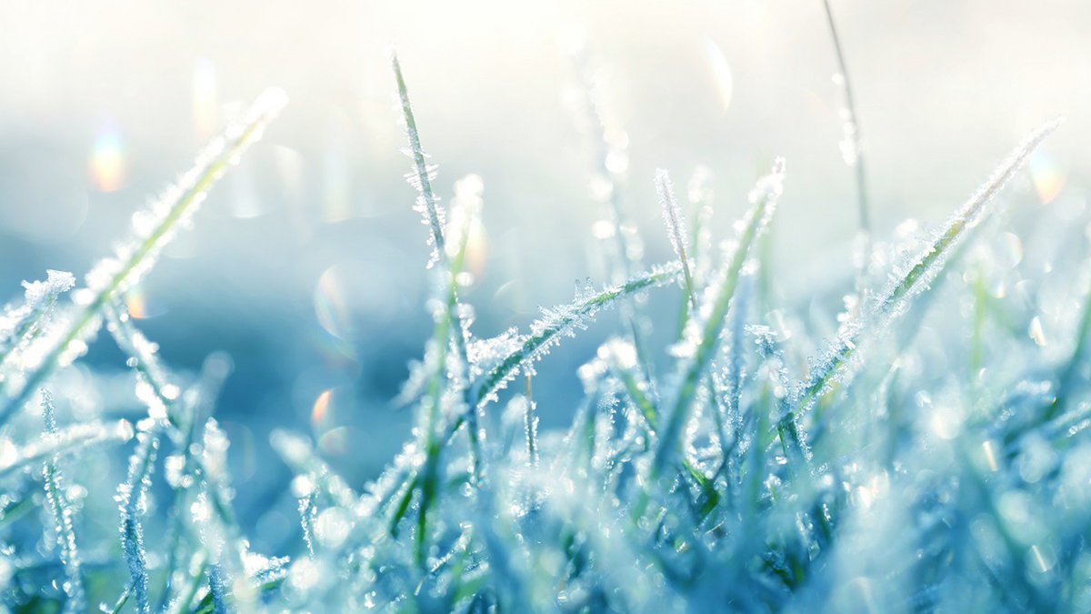 Why Study the First Frost Date? Blog Science Museum of Virginia