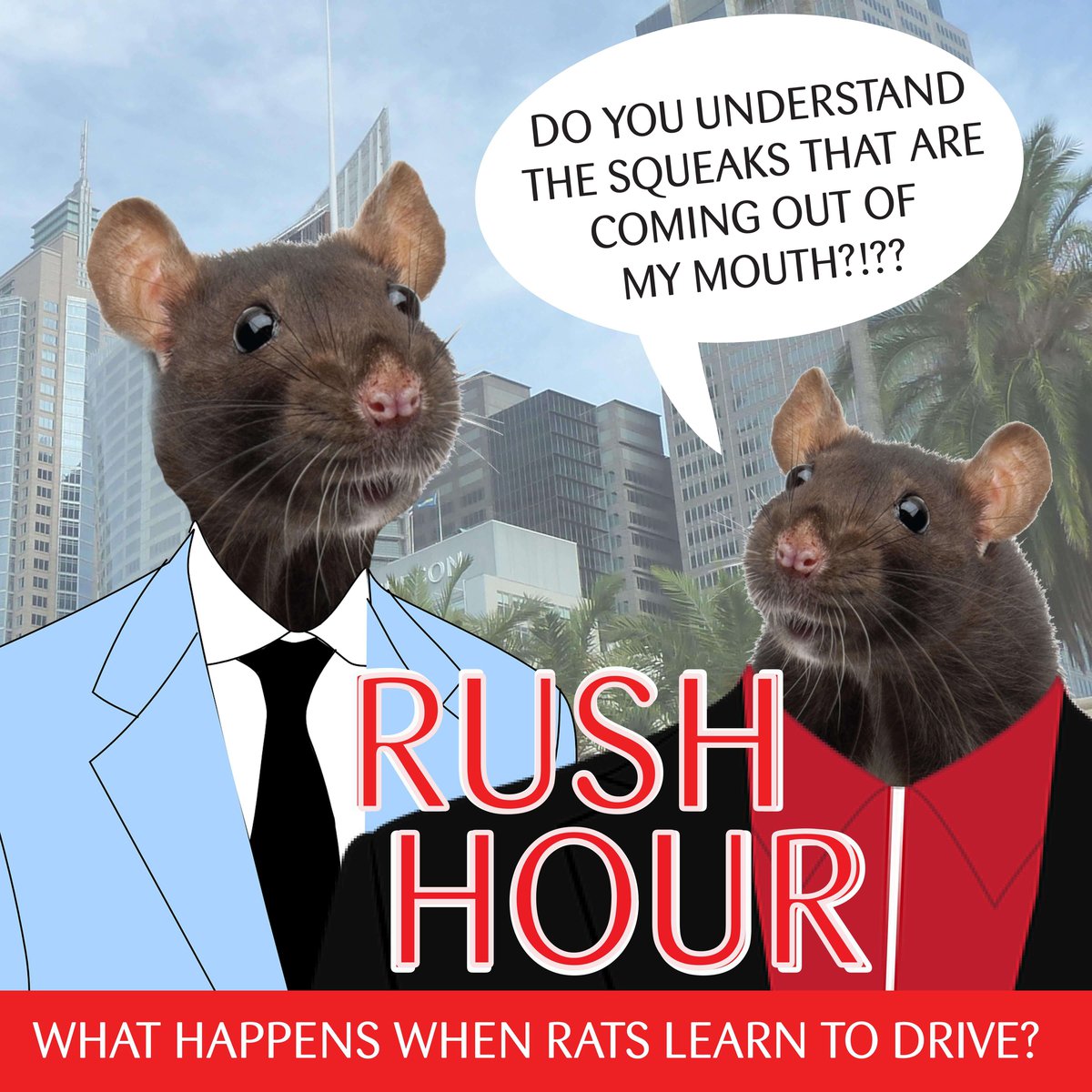 Why Were Rats Taught To Drive? | Blog | Science Museum Of Virginia