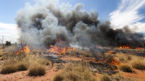 Question Your World: What Have We Learned about Wildfires?