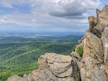 2020.05.29 blog feature.jpg