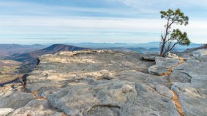 Quarantine Quarrying: Minerals