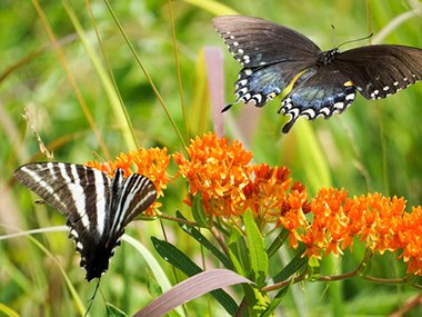 2020.06.24 blog feature.jpg