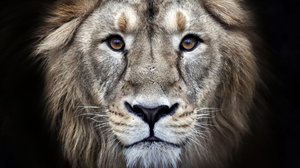 Question Your World: Does Eye Contact Matter?
