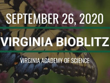 2020.09.18_BioBlitz.png