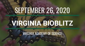 BioBlitz and RVAir: Fill Your Saturday with Community Science!