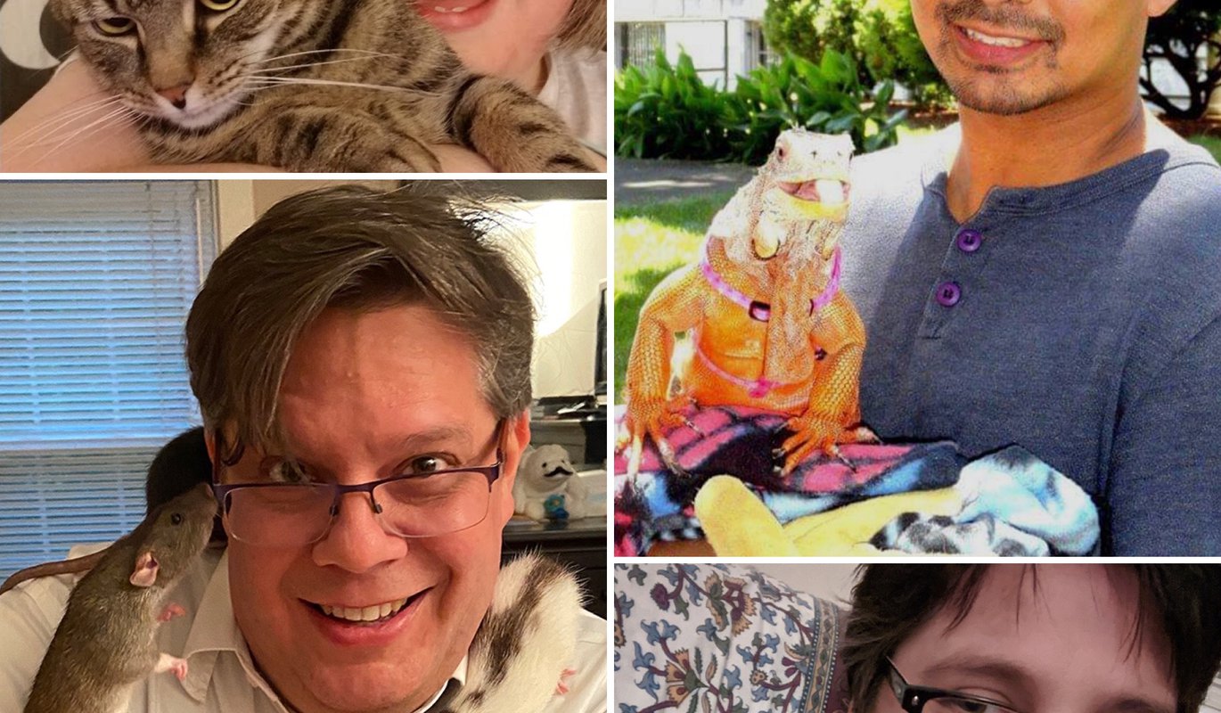 How Do Pets Affect Us during a Pandemic? Blog Science Museum of