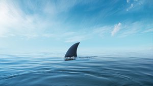 Question Your World: Can Sharks Walk?