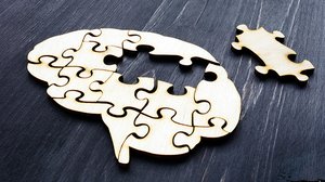 Question Your World: How Does Memory Work?