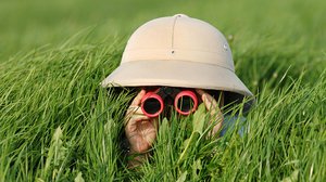Question Your World: How Many Species Are Left to Be Discovered?