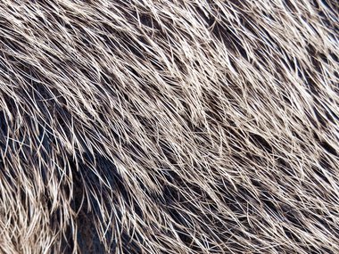 2021.02.11_hair_Getty.jpg