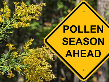 2021.03.10_PollenSeasonAhead.jpg