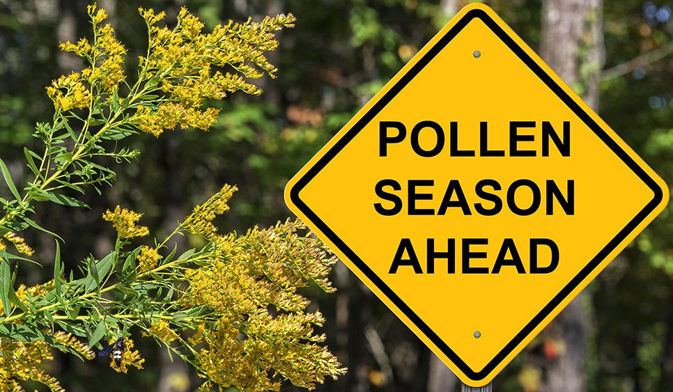 Is Pollen Season Happening Earlier? Blog Science Museum of Virginia