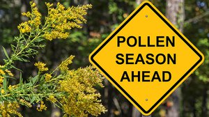 Question Your World: Is Pollen Season Happening Earlier?