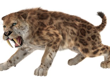 2021.05.10_SaberToothTiger_Getty.jpeg