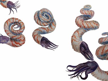 2021.6.23_PrideInPalentology_KateMarriottArt.jpg