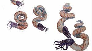 More Pride and More Paleontology: LGBTQ+ Scientists Part Two