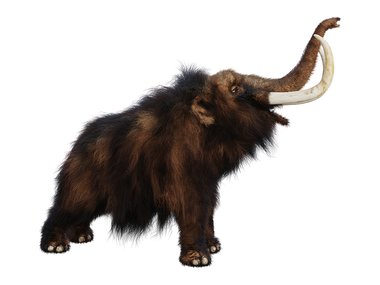 Illustration of a brown mammoth with its trunk facing up and mouth open