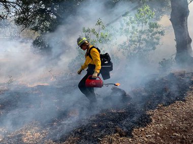 Image of Fire Ecologist Ashley Grupenhoff walking through a smoky, wooded area carrying a red can with a flame at the end and wearing a black backpack.