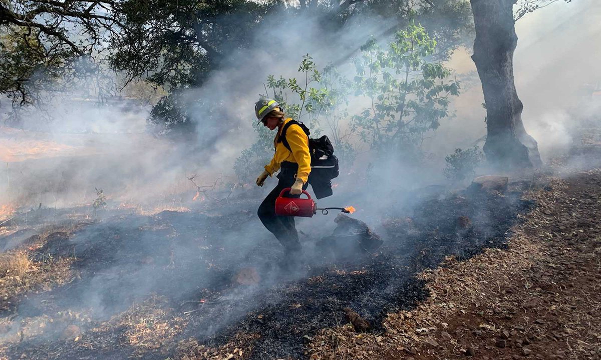 Image of Fire Ecologist Ashley Grupenhoff walking through a smoky, wooded area carrying a red can with a flame at the end and wearing a black backpack.