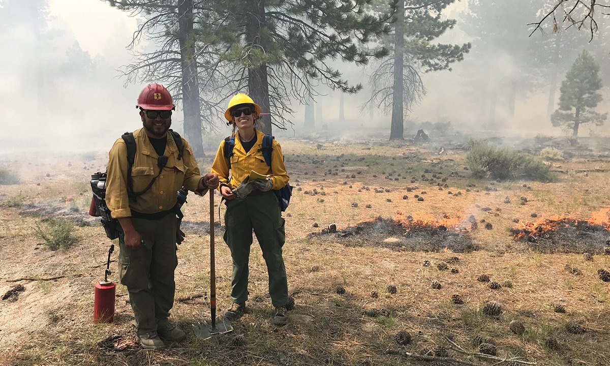 Fire ecologists with the U.S. Forest Service working in a prescribed burn area.