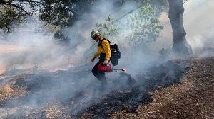 Career Catalyst: Fire Ecologist