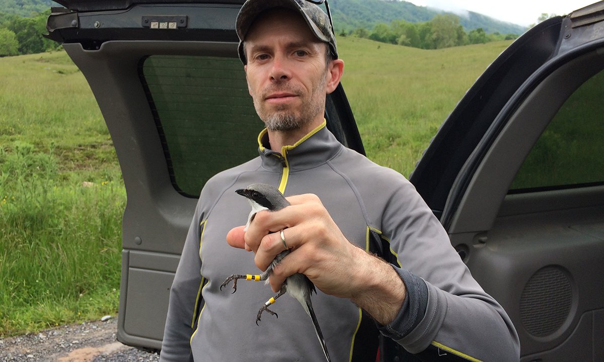 Ornithologist Sergio Harding holds a bird he banded during field work.