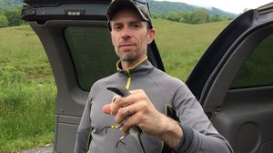 Career Catalyst: Ornithologist