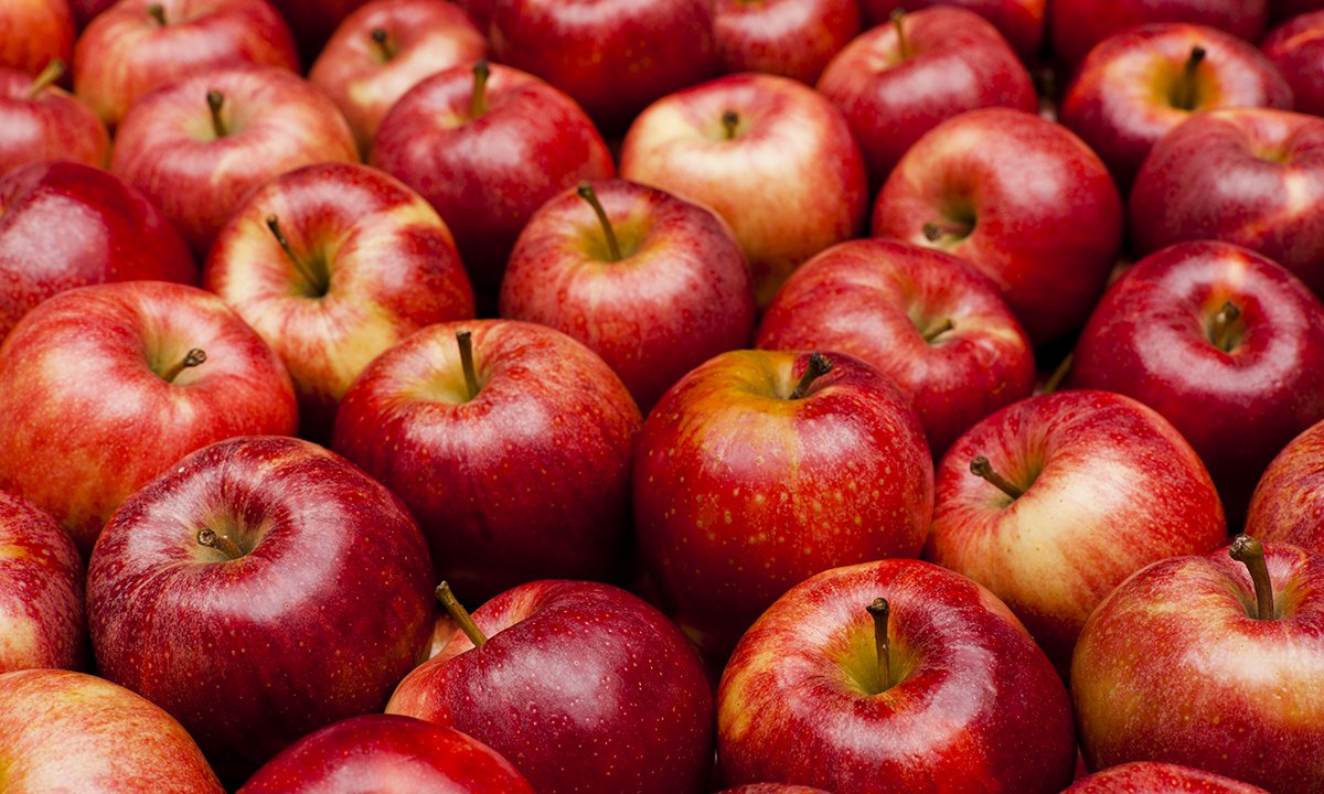 Image of lots of shiny red apples