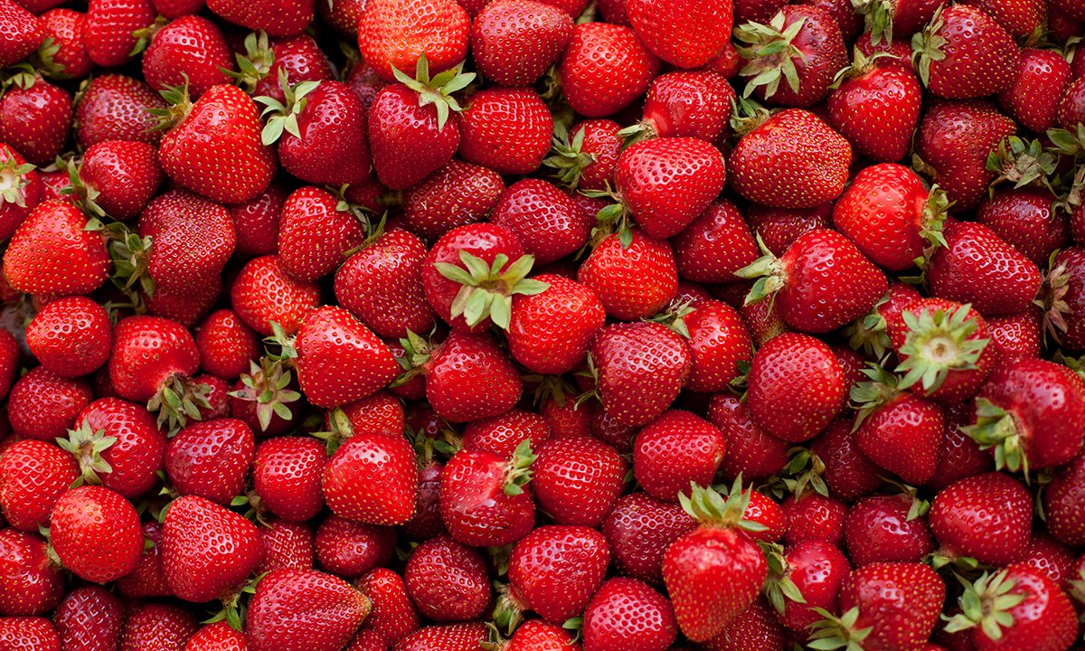 Image of lots of strawberries.