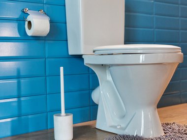 Image of white toilet. White toilet bowl brush and toilet paper are visible. Tan rug, blue wall.