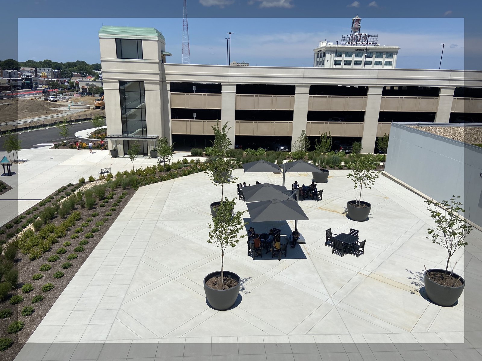 Trees Are Cool! | Blog | Science Museum of Virginia