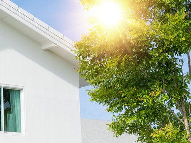 A photo of a white house to the left. A window and the edge of the roof are visible. The sun is shining through between the roof and a tree to the right. It is full of green leaves.