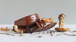 A Fun-guide to the Past, Present and Future of Leather Materials