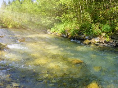 A photograph of a river. The water flows right to left in the image. Trees line the bank. The sun is visible in the upper left corner.