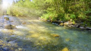 Question Your World: How Has Water Quality Gotten Better in the Last 50 Years?