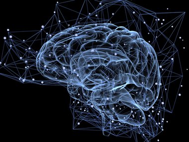 Graphic of a human brain. Blue outline on a black background.