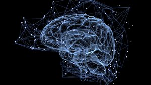 Question Your World: Have You Ever Had Deja Vu?