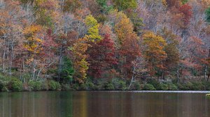 Question Your World: What's Happening to Lakes?