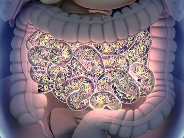 An illustration of a gut with brightly colored bacteria inside it.