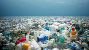 Question Your World: Are Biotools the Future of Plastic Waste Clean Up?