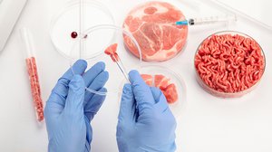 Question Your World: Did the US Approve Sales of Lab-Grown Meat?