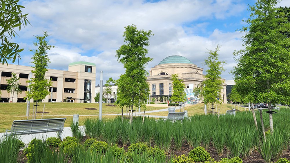 A photograph of the Science Museum's greenspace, The Green, featuring tress, grass, shrubs and the building in the background. The pants are a vivd green, the sky a bright blue.