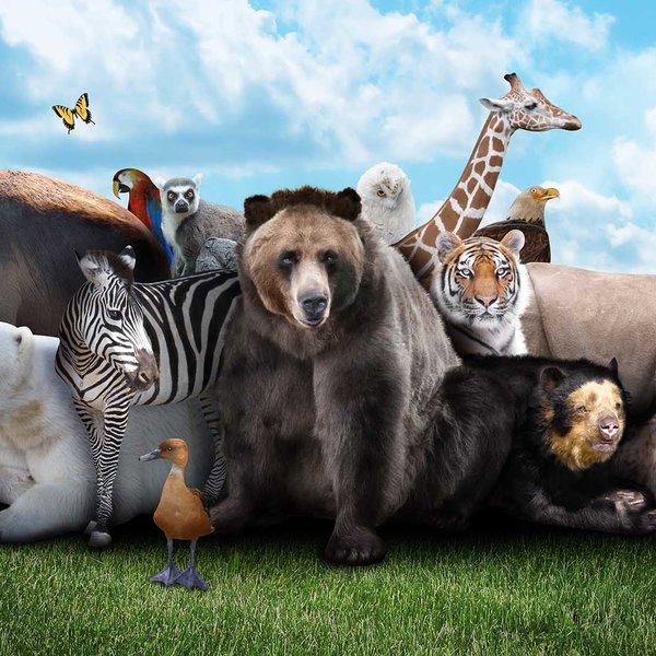 Animal Kingdom Giant Screen film