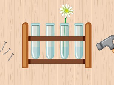 illustration of a plant propagation station.jpg