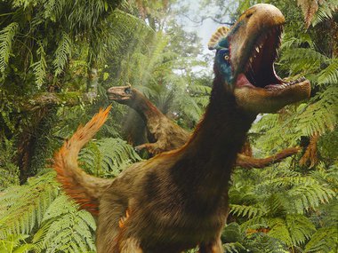 dinosaurs in a lush forest