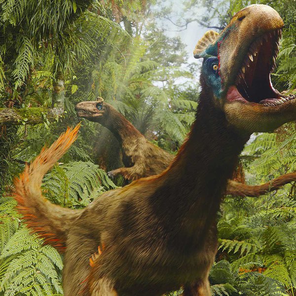 dinosaurs in a lush forest